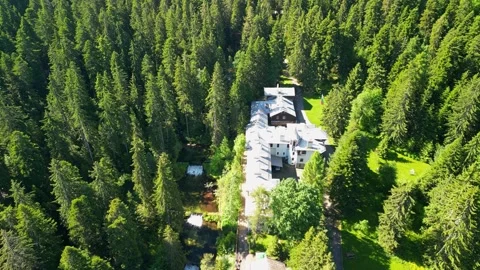 Drone View of of ancient palace and the nature in the old park Tsarska or Royal  Stock-Footage 256030685