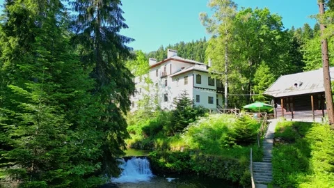 Drone View of of ancient palace and the nature in the old park Tsarska or Royal  Stock Footage 256031196