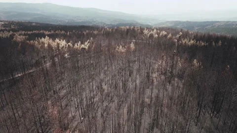 Drone view of area covered in ash because of climate changes. 4K Video. Stock Footage 160850027