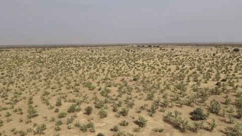 Drone view of arid land in dry African landscape, April 25, 2026, Chad, N Video stock 334803642