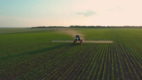 Drone view around of sprinkler tractor processes a soybean field with chemicals 스톡 동영상 248050400