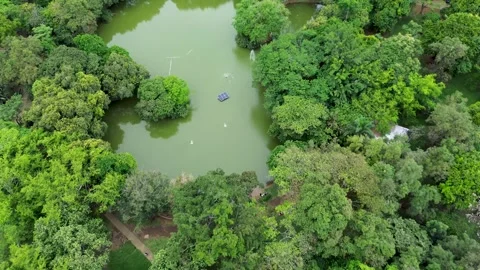 Drone View of Artificial Lake Surrounded by Forest Stock Footage 307958803
