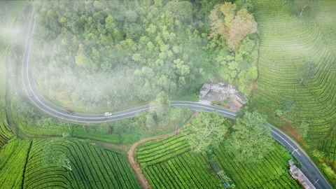 Drone view of asphalt roads in nature. 4k video Stock Footage 277412759