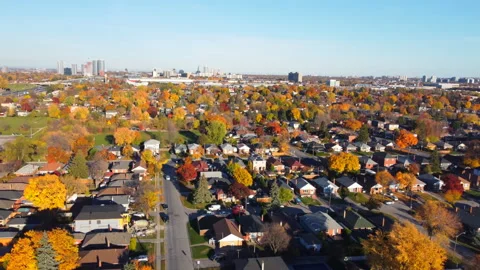 Drone View of Autum Colors Video stock 220192692