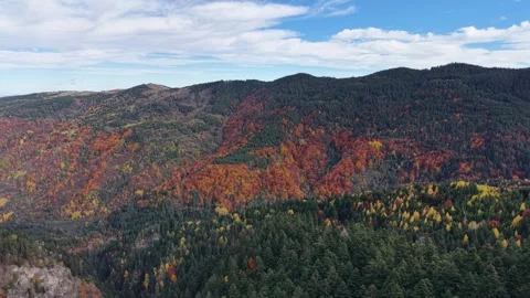 Drone View of Autumn Mountain Forest in Bulgaria Stock Footage 332921455