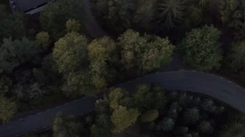 Drone view of autumn road in a forest Stock Footage 221768763