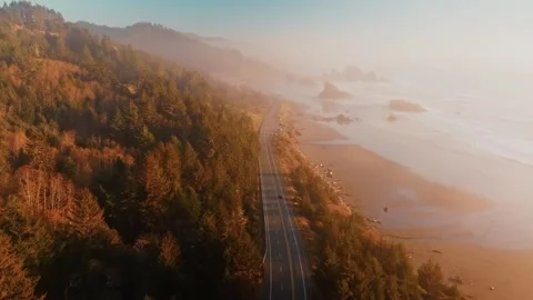 Drone View of Autumn Sunset Over Road and Railway Between Forest and Sea Stock Footage 315099019