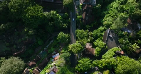 Drone view of Bali, Indonesia. Ubud road. Top view Stock Footage 236914997