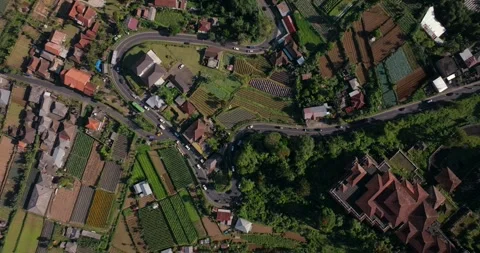 Drone View of Bali. Mountain winding road Stock Footage 241420915