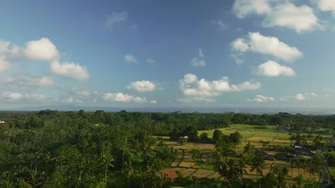 Drone view of Bali. Rice Terrace, Ubud. Top view 库存影片 237013357
