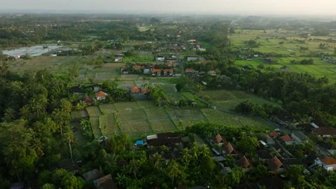 Drone view of Bali. Rice Terrace, Ubud, Bali, Indonesia. Top view 库存影片 237463838