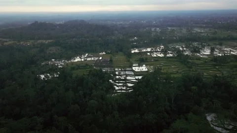 Drone view of Bali. Rice Terrace, Ubud, Bali, Indonesia. Top view Stock Footage 237655871
