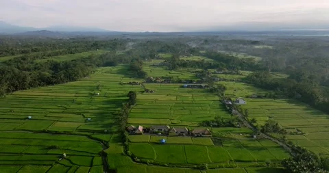 Drone view of Bali. Rice Terrace, Ubud, Bali, Indonesia. Top view Stock Footage 237655925