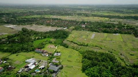 Drone view of Bali. Rice Terrace, Ubud, Bali, Indonesia. Top view Stock Footage 240483812
