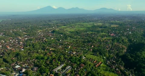 Drone view of Bali. Rice Terrace, Ubud, Bali, Indonesia. Top view Stock Footage 240980399