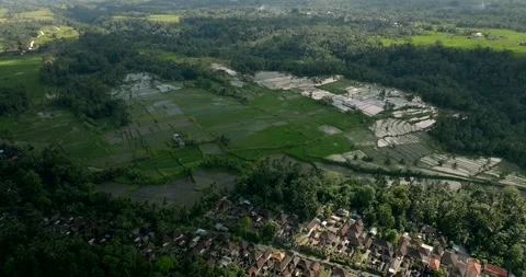 Drone view of Bali. Rice Terrace, Ubud, Bali, Indonesia. Top view Stock Footage 241885204