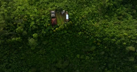 Drone view of Bali. Top view of Tropical forest interior. Nature background Stockbeeldmateriaal 259685843