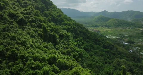 Drone view of Bali. Tropical forest interior. Nature background of a rainforest Stock Footage 247961850