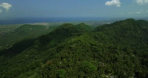 Drone view of Bali. Tropical forest interior. Nature background of a rainforest Stock Footage 248243591