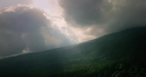 Drone view of Bali. Tropical forest interior. Nature background of a rainforest Stock Footage 248243785