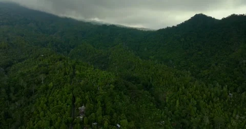 Drone view of Bali. Tropical forest interior. Nature background of a rainforest Stock Footage 251799722