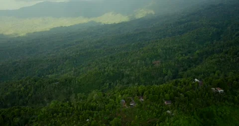 Drone view of Bali. Tropical forest interior. Nature background of a rainforest Stock Footage 252382609