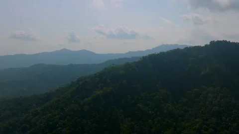 Drone view of Bali. Tropical forest interior. Nature background of a rainforest Stock Footage 255216973