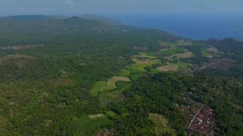 Drone view of Bali. Tropical forest interior. Nature background of a rainforest Stock Footage 255415092