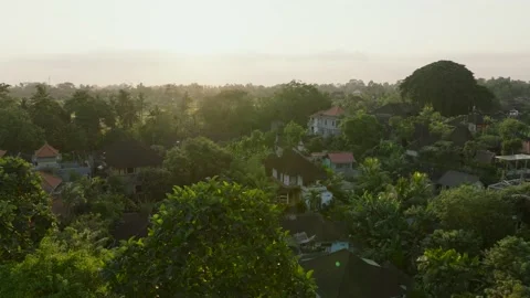 Drone view of Bali. Tropical trees in jungle. Forest in island Bali, Indonesia Stock Footage 237113030