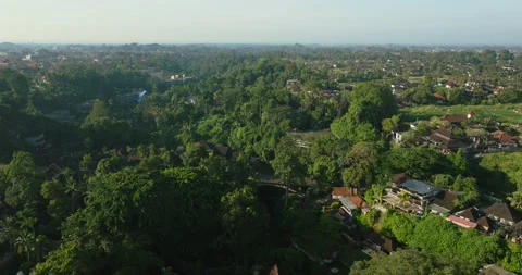 Drone view of Bali. Tropical trees in jungle. Forest in island Bali, Indonesia Stock Footage 237880271