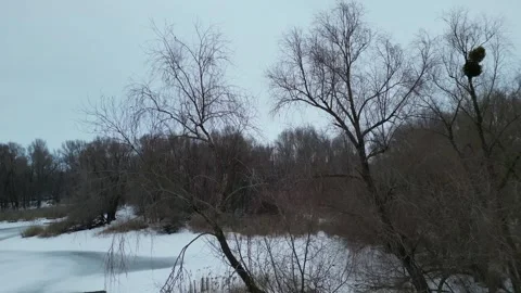 Drone view of bare willow trees and a snowy frozen river bank Stockbeeldmateriaal 348170911