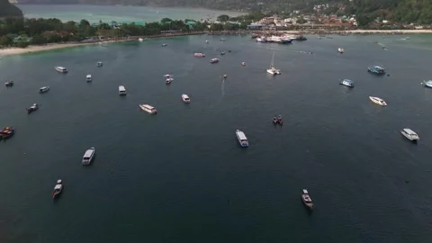 Drone View of Beach and Jungle on Koh Phi Phi, Thailand Video stock 308063659