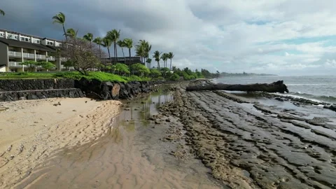 Drone view of a beach and rock shelf with a driftwood log in Hawaii Stock-Footage 348251077