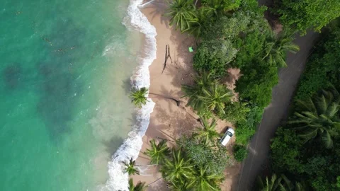 Drone view of a beautiful beach with curved palm trees. Pura Vida! Stock Footage 261943999