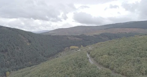 Drone view of a beautiful forest road during sunset in Spain Stock Footage 111840314