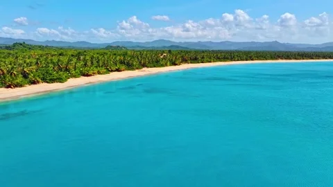 Drone view of a beautiful long beach with palm trees on the sea coast. Stock Footage 311562216