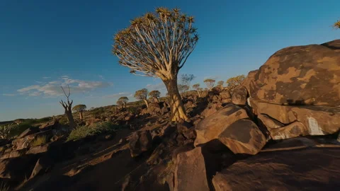 Drone View of the Beautiful Nature of Namibia Stock Footage 295027306