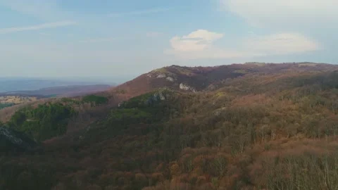 Drone view Beautiful orange and red autumn forest, many trees 库存影片 167722628