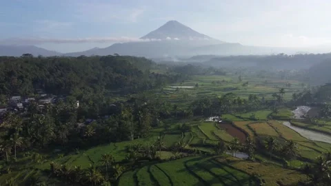 Drone view of the beautiful rice fields patches under the mountain (Raw Footage) Stock Footage 167273229