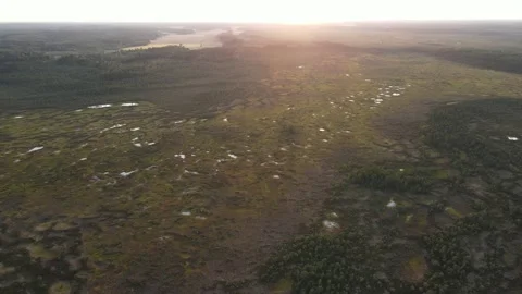 Drone View on Beautiful Sunset Light and swamp Stock Footage 168571507