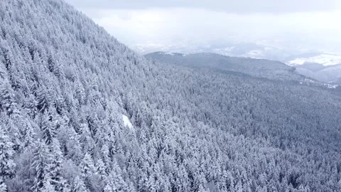 Drone view of beautiful winter scenery in the mountains Stock Footage 171816976