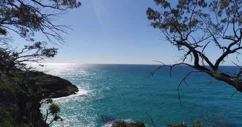 Drone View betweem Trees and Blue Ocean Stock Footage 78320656