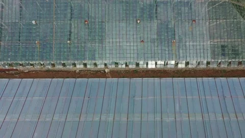 Drone view of big industrial hothouses with growing plants inside Vídeo Stock 281973257