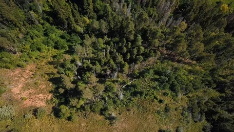 Drone view on big river in Russia 動画素材 105275105