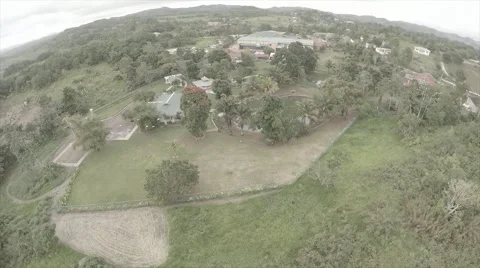 Drone view - Birds fly around garden compound Stock Footage 62527149