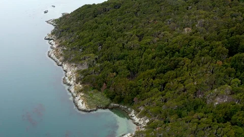 Drone view of blue lakes and glacial forests in Tierra del Fuego, Patagonia Stock Footage 111831111