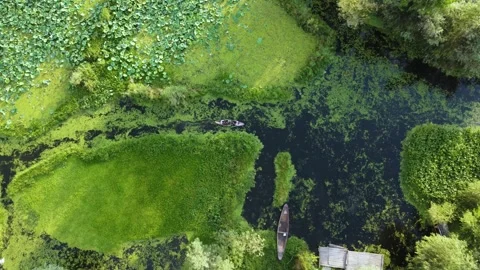 Drone view of boat navigating narrow water lanes in Dal Lake. Stock Footage 310786168