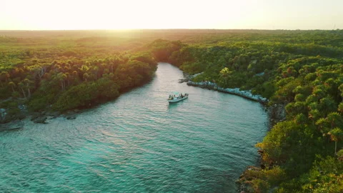 Drone view of boat sailing through lush tropical river by dense jungle in Mexico Stock Footage 320090367