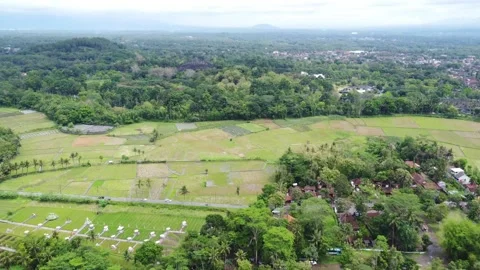 Drone view of Borobudur Temple in Central Java Stock Footage 324208500