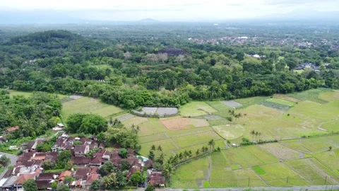 Drone view of Borobudur Temple in Central Java Stock Footage 324208700
